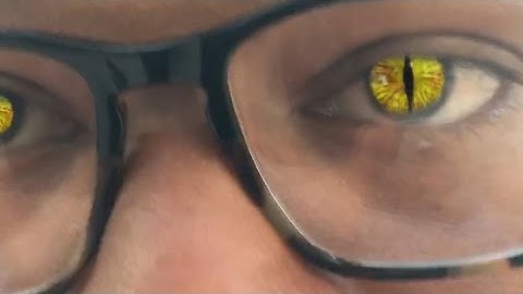 Rich King-Dream Vision(Official Video Visualizer 