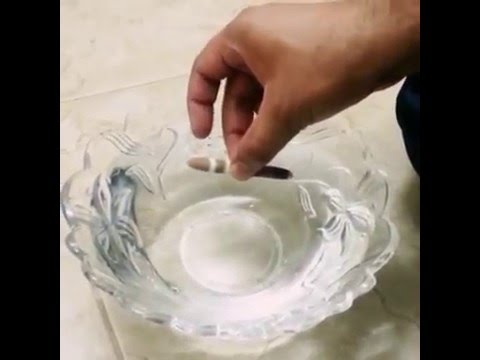 عرق سواحل البحري أو القنفذي وله عده تسميات للتفاصيل 009647703220025 حسن البصري
