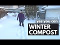 How to Winter Compost when it's FREEZING outside