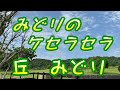 【2021年7月21日発売】みどりのケセラセラ/丘みどり(歌詞付き)  cover        心笑