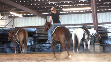 Smurfs Twist - 9/1/12 RSNC Sorting - warm up 1 - Valley View Ranch