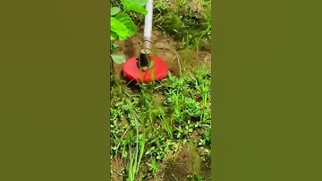 Smart tools and gadgets for life #shorts #smartgadgets #youtube #video