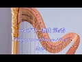 Brahms / Hungarian Dance No.5 - Harp ハンガリー舞曲 第5番【藝大生リモートハープデュオ】