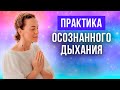 ТЕХНИКА ОСОЗНАННОГО ДЫХАНИЯ