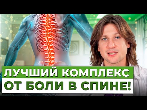 Боль в СПИНЕ