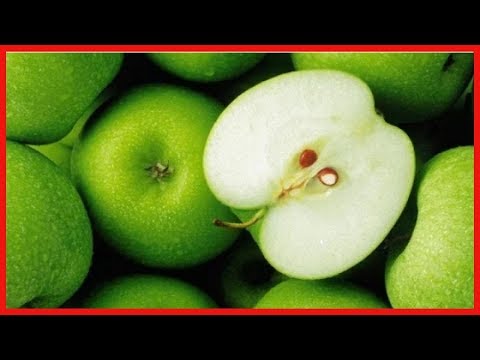 Vidéo: Quel fruit contient de l'acide oléique ?
