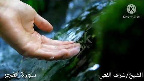 بكاء مرير عند قرائة الشيخ/شرف الفتى&سورة/الفجر