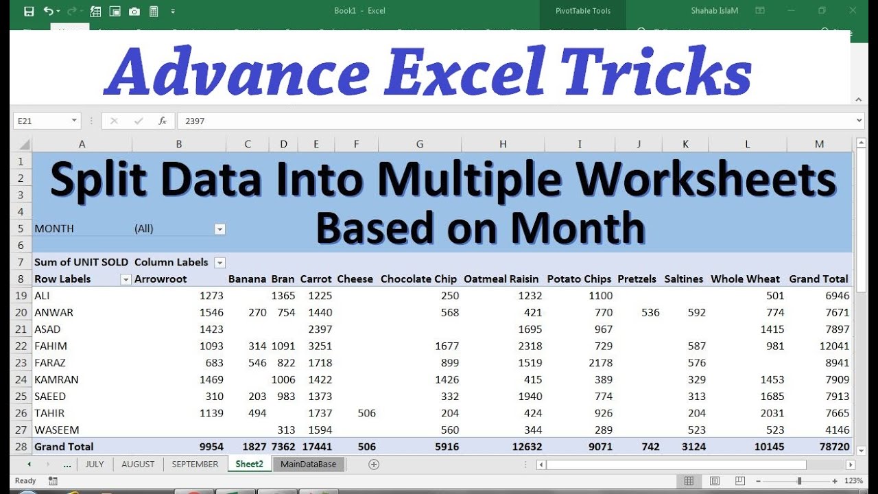 How To Split Excel Workbook Into Multiple Worksheets