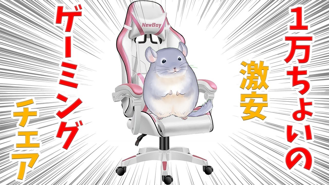 NewBoy】一万円くらいで買える激安ゲーミングチェア買ってみた【Amazon 