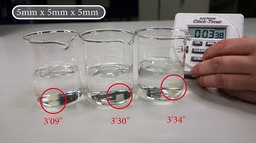 Biology Unit 1: The effect of size on rate of diffusion in cells