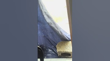 Hurricane Mellisa has destroyed St. Elizabeth, we need help #hurricane #youtubeshorts