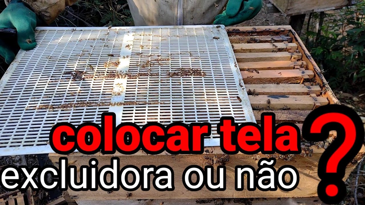 colocar tela excluidora ou não?🐝🐝🐝🐝🐝🐝🐝🐝 qual a melhor opção ?🐝🐝🐝🐝 e preciso realmente de tela? 🐝🐝🐝🐝