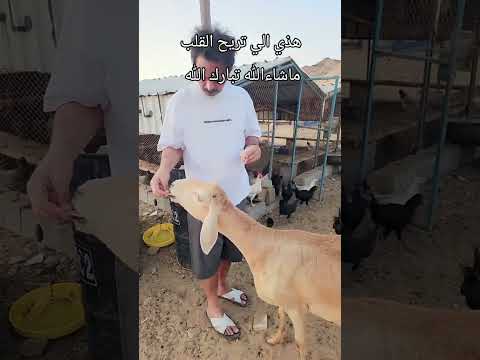 العين الي ماتذكرالله الطلي مات اكسبلور اكسبلور مالي خلق احط هاشتاقات    اكسبلو