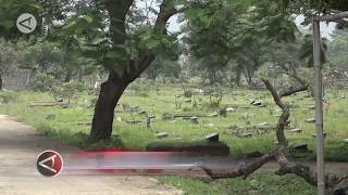 Tpu Mangun Jaya, Lokasi Pemakaman Jenazah Terpapar Covid-19