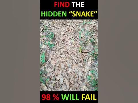 Find The Hidden Object | Optical Illusion | Illusion Arts | 3D ...