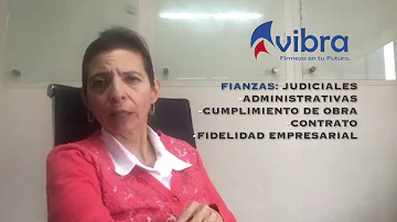 ¿Cuántos tipos de fianza existen?