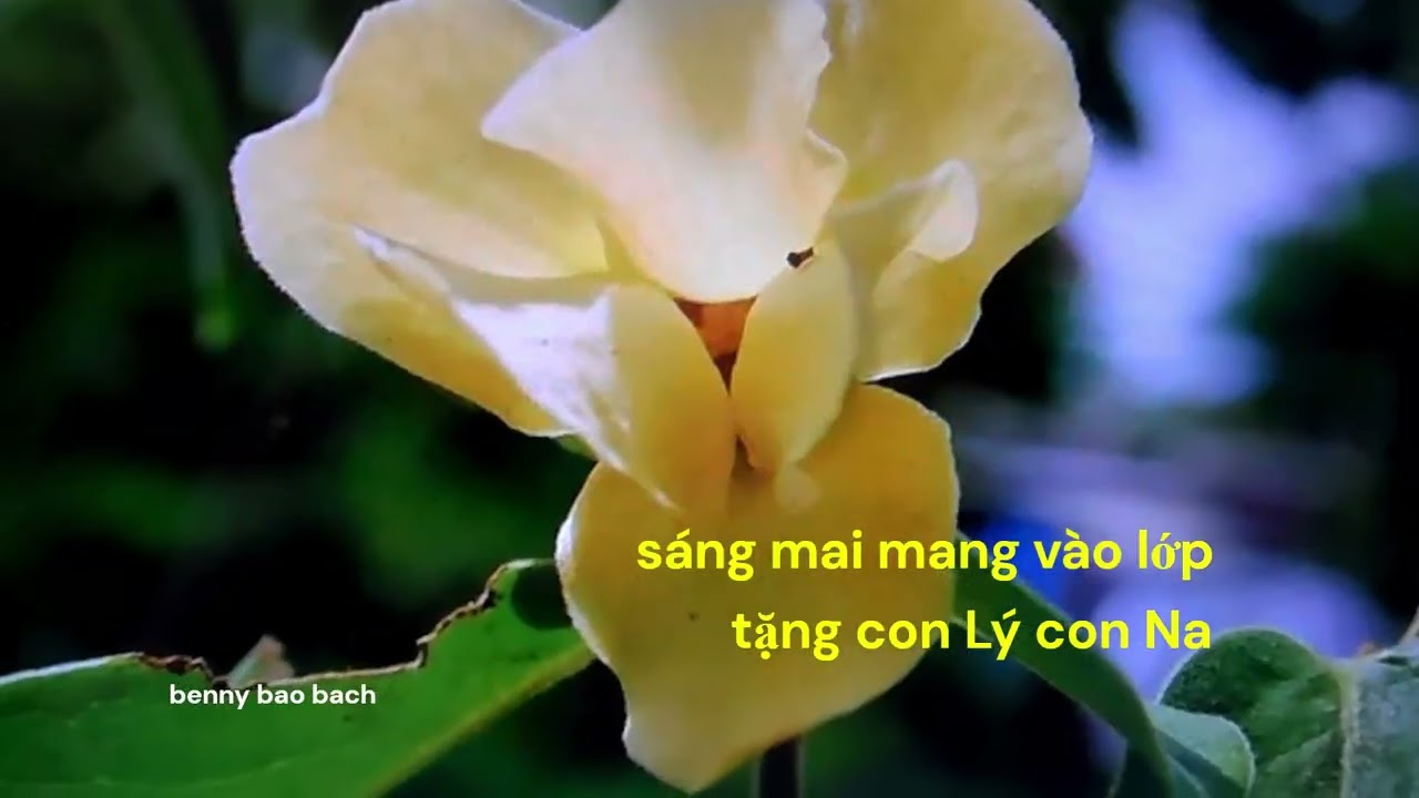 HƯƠNG HOA MƯỜI BA.