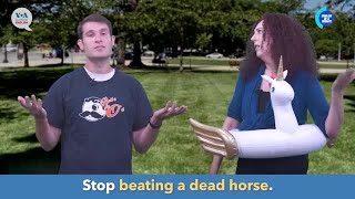 English in a Minute: To Beat a Dead Horse