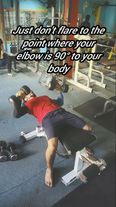 Bench Press How To Properly Bench Press With Dumbbells YouTube bench-press-how-to-properly-bench-press-with-dumbbells-youtube