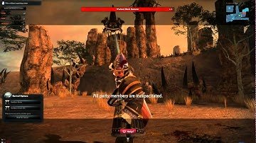 Weird Vindictus Glitch.