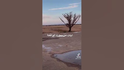 دحيم الحماد ١٤٤٤هـ آيات من سورة الواقعة