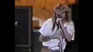 Guns And Roses - Down on The Farm