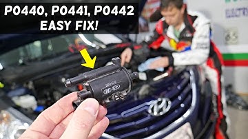 CODE P0440 P0441 P0442 ENGINE LIGHT ON HYUNDAI ELANTRA SANTA FE TUCSON ACCENT VELOSTER SONATA