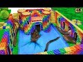 Build Underground Castle, Swimming Pool For Catfish and Eel From Magnetic Balls ( Satisfying )