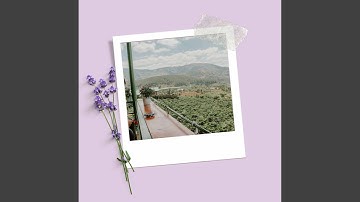 Vivacious Tranquil Rest