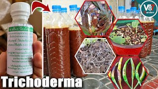 How to Use Trichoderma That You Never Know