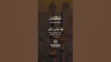 سورة القصص #قرآن #اكسبلور #لايك