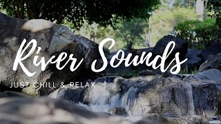  3 Hours of Relaxing River Sounds: Soothing Water Flow for Meditation and Sleep 