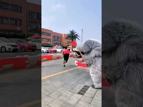 باندا بتعمل كده ليه هيها وبتجري بق اكسبلور باند  بندي   باندا ترند