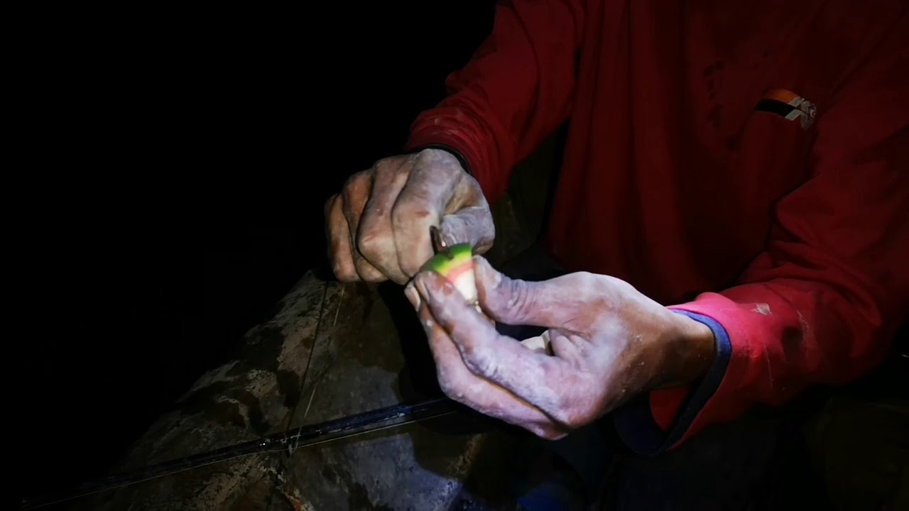 MEMANCING PATIN WAKTU MALAM HASILNYA..!!!