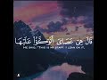 ق ال أ لق ه ا ي م وس ى ف أ لق ه ا فإ ذا هى ح ي ة ت سع ى القارئ ماهر المعيقلي صوت يريـح القلب