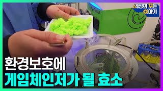 플라스틱 분해하는 효소 발견!ㅣ세모이 [57회] / Ytn2 - Youtube