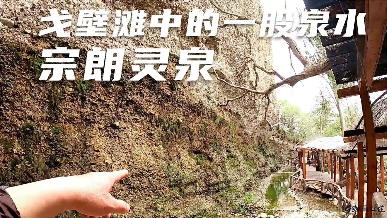 戈壁荒滩中涌出一股泉水名曰 宗朗灵泉 这样的奇观 一起去看看 98k的征途 Youtube