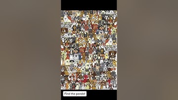 Find the panda!