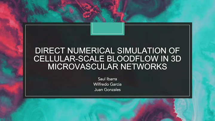 Group 2 - Direct Numerical Simulation of Cellular-Scale Blood Flow in 3D Microvascular Networks
