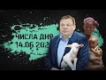 Рецессия в США, миграция миллионеров и утонувшие овцы // Числа дня №85