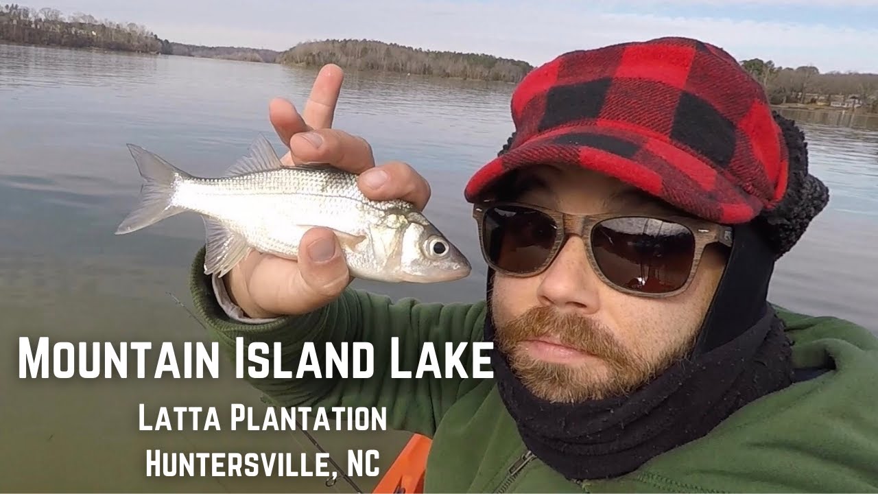 Mountain Island Lake Winter Fishing for Bass and Perch Latta Plantation Huntersville, NC