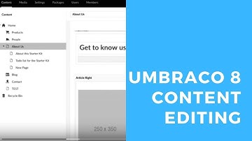 ipso Educated | Umbraco 8 Content Editing