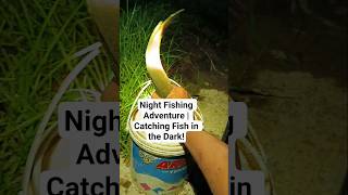 Night Fishing Adventure | Catching Fish in the Dark!