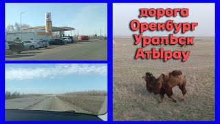 Дорога Оренбург-Уральск-Атырау 2023 - цены на бензин, объезды, разбитая дорога