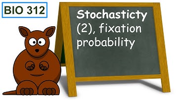 Stochasticity (2), fixation probability.