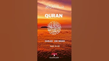 Beshak 🥺 Surah An Noor سورة النور | Ayat 41-42 Urdu Translation #quran #viral #islamicvideo
