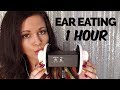 Youtube Thumbnail ASMR 3DIO Ear Eating No Talking 1 Hour 
