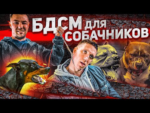 СТРОГАЧ | УДАВКА | ЭЛЕКТРИКА пробуем на себе