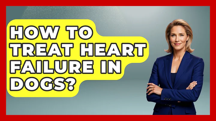 How To Treat Heart Failure In Dogs? - Cardiology Community