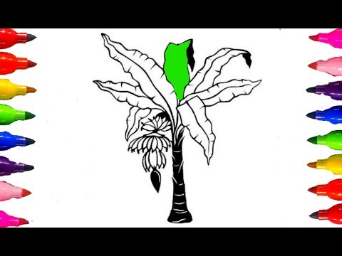 coloring pages banana tree fruits how to draw and color kids learning colored markers - Images To Color For Kids coloring pages banana tree fruits how to draw and color kids learning colored markers - Images To Color For Kids